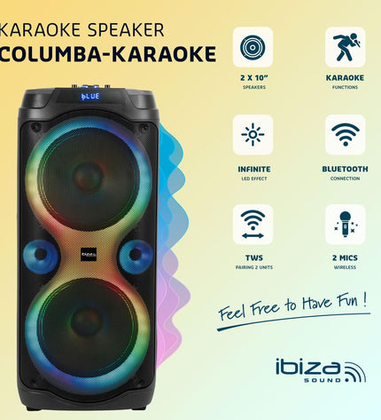 Ibiza Columba Karaoke speakers in black, compact audio equipment with built-in controls for karaoke and sound quality.