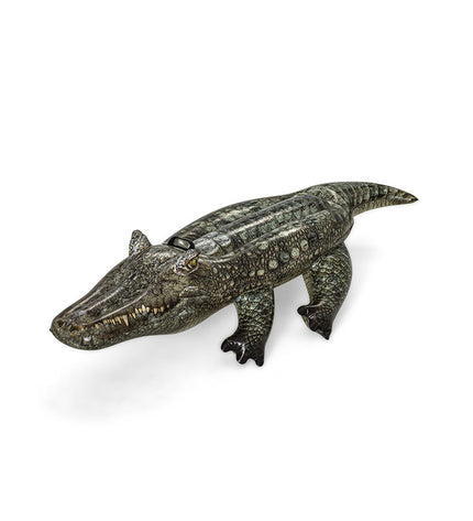 V6HEB72C281F379745348992E7891D8981DR4438700P1