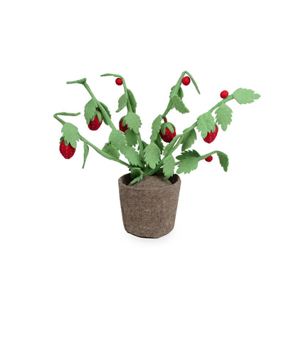 Kidsdepot Strawberry plant - red