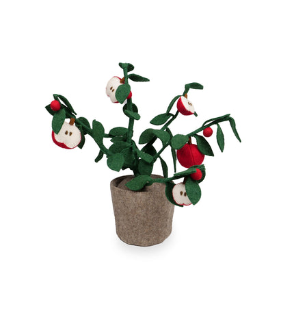 Kidsdepot Apple plant - red