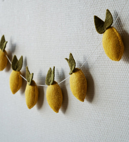 Kidsdepot garland Citrus - multi