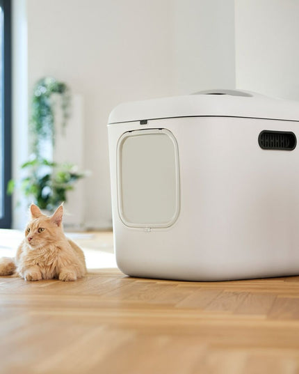 V2H5D415A3897B581ED5D8F322AEF1F118CR7629794P2