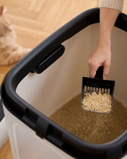 V2H9E79403366D461A36A7C9B607093C10FR7629798P6