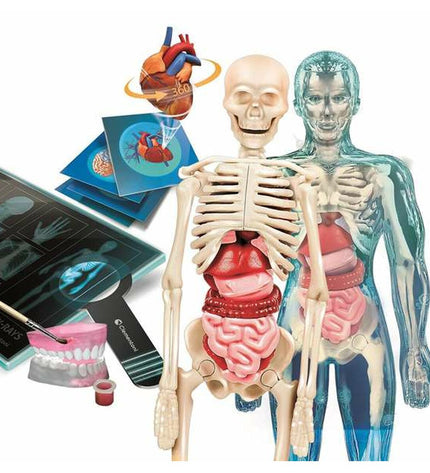 Clementoni Superanatomía science game showing colorful anatomical puzzle pieces for educational learning and play.