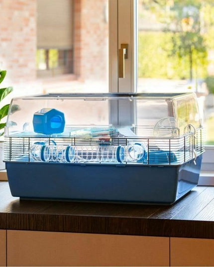 V5H41CB2FDD7BB3F9882D1EA8BEEBEF5CF5R5780515P3