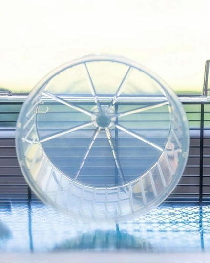 V5H1B15D0795597464CB2B8BE6C427DA79FR5780521P5