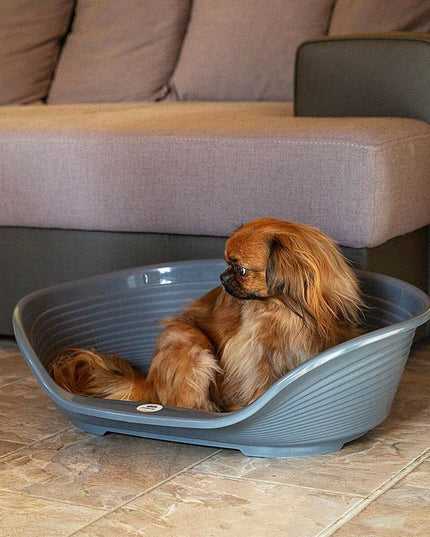 V6H9D81C060EDF473F094777A6EED296331R7242403P4