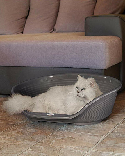 V6H02221B86A259452F026E2203AFE8848CR7242405P5