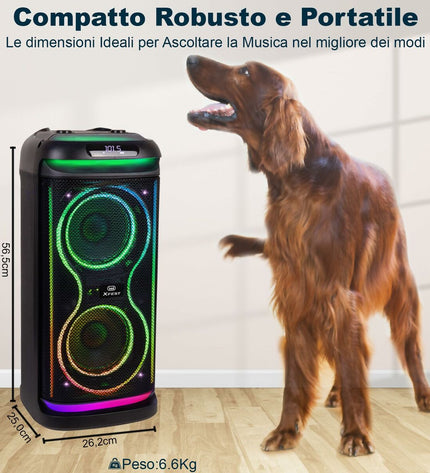 Trevi XF 650 KB portable speaker system with built-in handle, black color, and control buttons, ideal for portable audio entertainment.