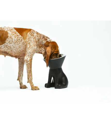Black stainless steel and polyethylene dog feeding bowl by United Pets, 1-liter capacity for pets.