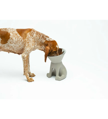 United Pets Up Elisabeth dog feeder in gray, 1L stainless steel and polyethylene, suitable for pet dogs.