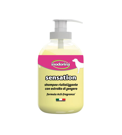 Inodorina dog shampoo bottle, 300 ml, with label featuring dog illustration and product details on a white background.