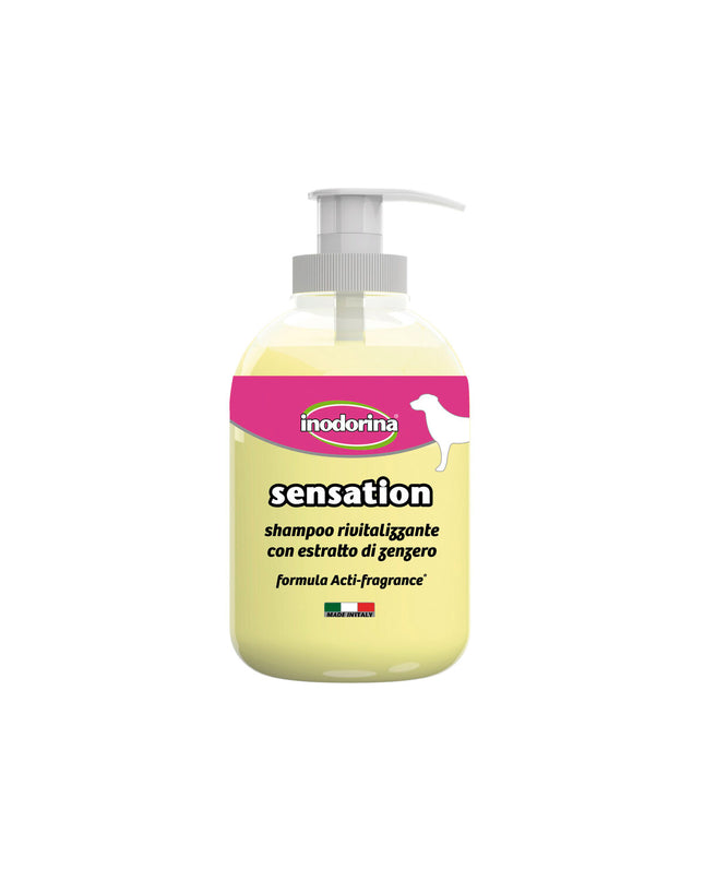 Inodorina dog shampoo bottle, 300 ml, with label featuring dog illustration and product details on a white background.
