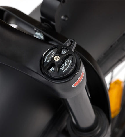Nilox NXEBX10BK electric bike in black with 20-inch wheels, 250W motor, and 13000mAh battery, suitable for sport and outdoor riding.