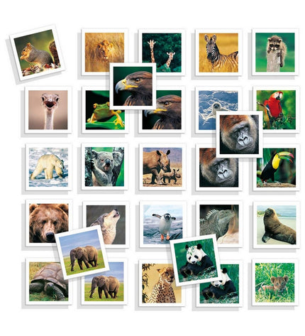 Diset educatief memo spel met 54 foto-animale onderdelen voor kinderen, speelgoed en spelletjes voor leren en plezier.