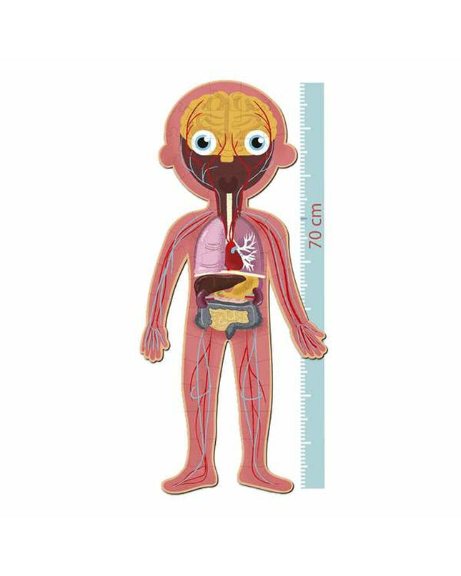 Apli Puzzel 19438 human body puzzle with 240 pieces, showing colorful human anatomy puzzle pieces on a white background.