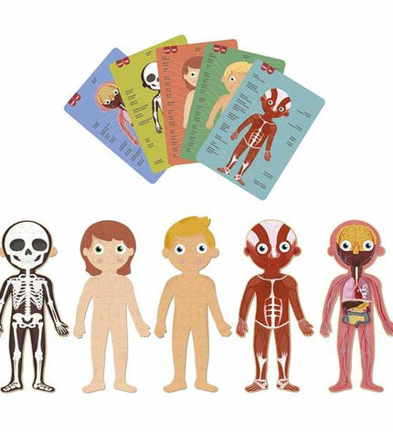 Apli Puzzel 19438 of a human body with 240 pieces, showing detailed puzzle pieces in a box for educational and brain-teasing fun.