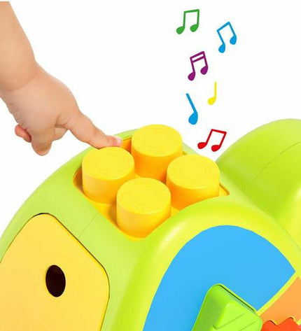 Moltó interactive baby turtle toy with 12 parts, measuring 57x27.5x97 cm, featuring colorful, engaging design for young children.