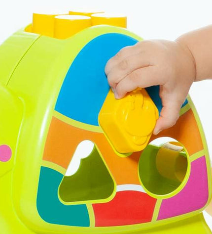 Moltó interactive baby turtle toy with 12 parts, measuring 57x27.5x97 cm, designed for young children to play and explore.