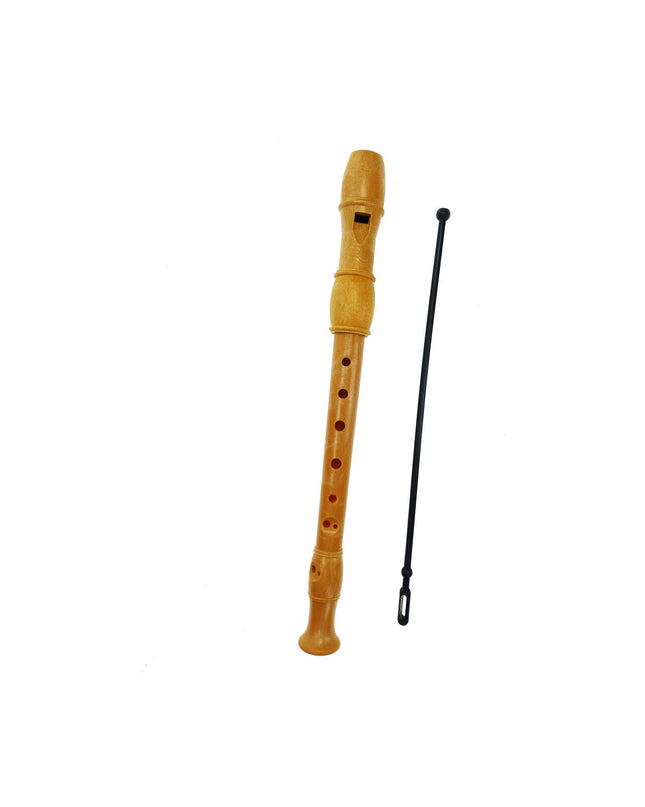 Reig Blokfluit speelgoed muziekinstrument for children, colorful plastic flute suitable for young kids to play and learn music.