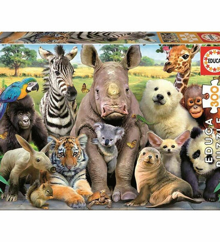 Educa EB15908 puzzle with 300 pieces, colorful jigsaw puzzle for kids and adults, depicted with scattered puzzle pieces.