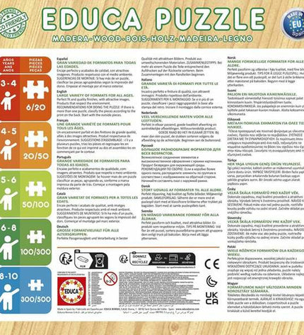 Educa puzzle toy, colorful and detailed image of a brain-teaser puzzle from Educa, featuring vibrant puzzle pieces.