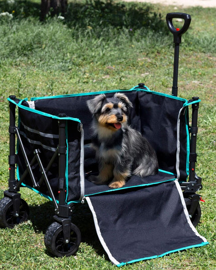 V2HDD00644F1CCA99A3996E79235AD752A5R7513573P9