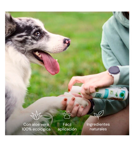 Menforsan dog grooming blades, pet grooming tools for dogs, shown in the image with packaging and blades.