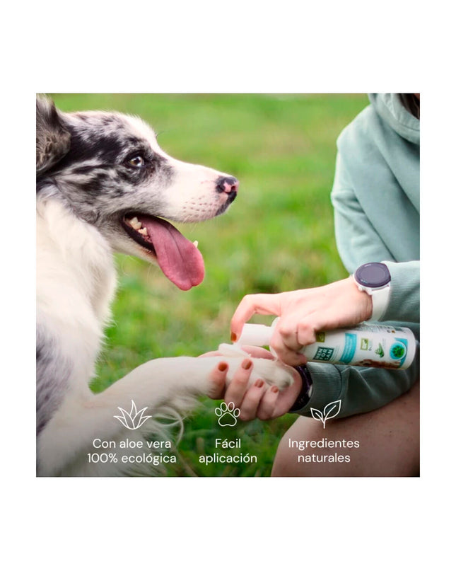 Menforsan dog grooming blades, pet grooming tools for dogs, shown in the image with packaging and blades.