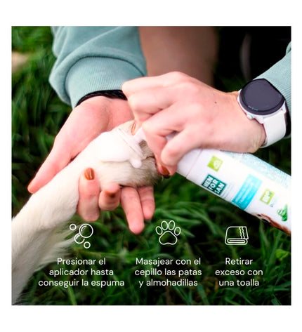 Menforsan dog grooming razor blades for pets, featuring multiple blades and a handle for easy, safe dog grooming.