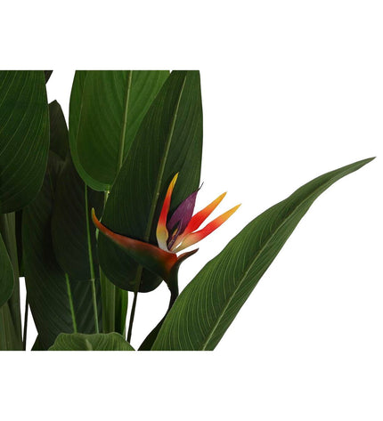 Decorative DKD Home Decor plant in a tall pot, 90x90x200 cm, suitable for home decor and interior decoration.