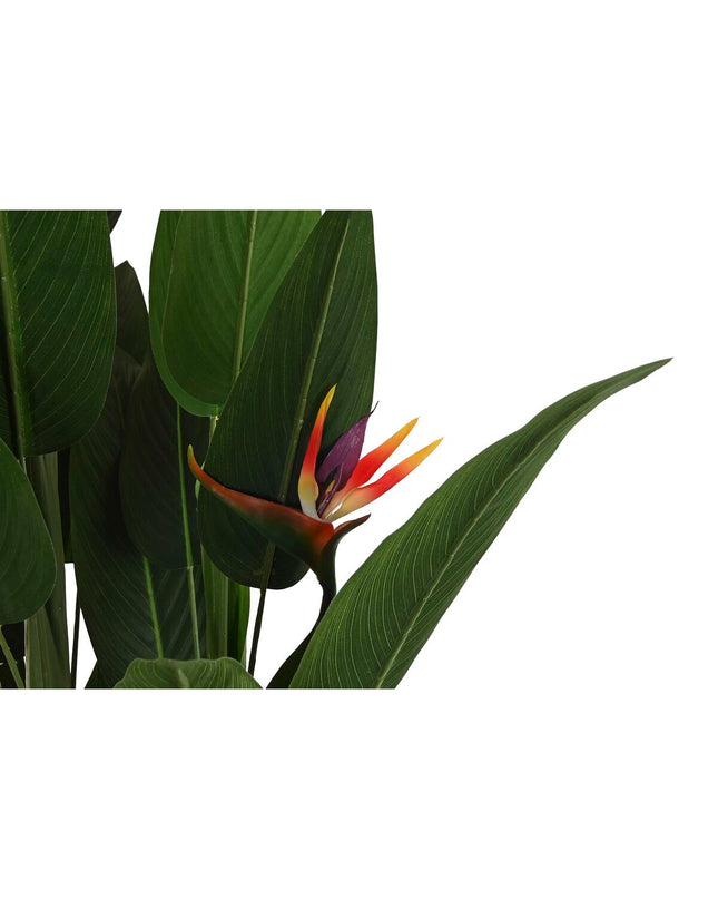 Decorative DKD Home Decor plant in a tall pot, 90x90x200 cm, suitable for home decor and interior decoration.