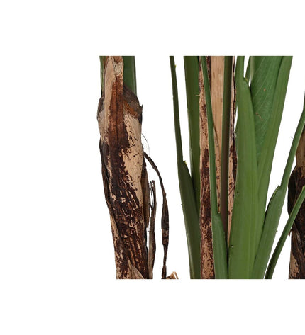 Decorative plant from DKD Home Decor, tall houseplant in a stylish pot, ideal for home decor, 90x90x200 cm size.