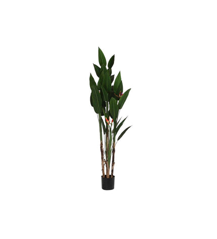 Decorative house plant from DKD Home Decor, 90x90x200 cm, showcasing lush green leaves in a modern home setting.
