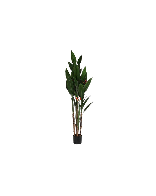 Decorative house plant from DKD Home Decor, 90x90x200 cm, showcasing lush green leaves in a modern home setting.