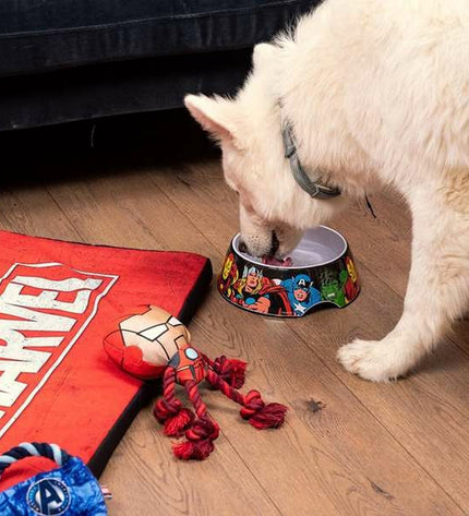 Marvel melamine dog food bowl with 760 ml capacity, featuring a colorful Marvel design and sturdy construction.