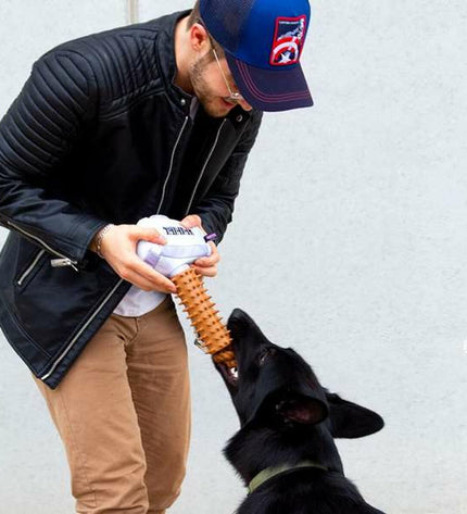 The Avengers dog chew toy in gray, 13x10x40 cm, made for dogs to chew and play with, featuring superhero-themed design