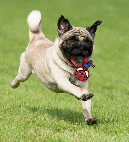 Red Spider-Man dog chew toys, 7x12.5x18.5 cm, set of four, durable pet toys for dogs by Spider-Man.