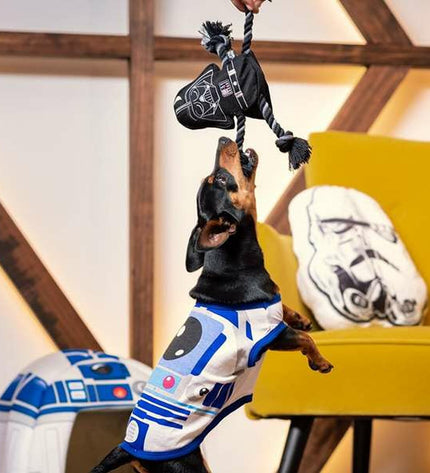 Star Wars black dog toys set with four plush animal-shaped toys, measuring 5x13x26 cm, for dogs.