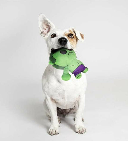 The Avengers dog toy, pet product from The Avengers, featuring a fun, durable design for dogs to play with and chew on.