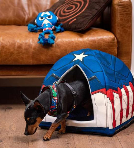 Blue Avengers dog toy, 13x10x20 cm, made of durable material, featuring superhero design for dogs.