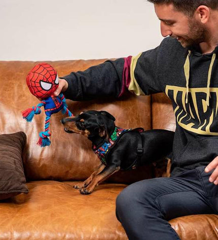 Four red Spider-Man dog toys shaped like spiders, measuring 8x13x26 cm, designed for dogs, by Spider-Man brand.