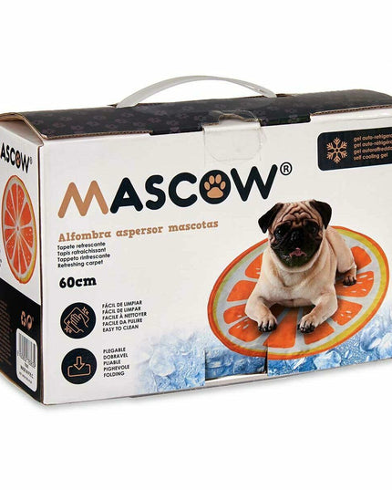 V4H5BEB52D17A7636263996B23FE9E16C09R7376877P4