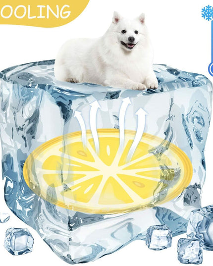 V4H441116792D228D24A9E606825647E116R7376883P7