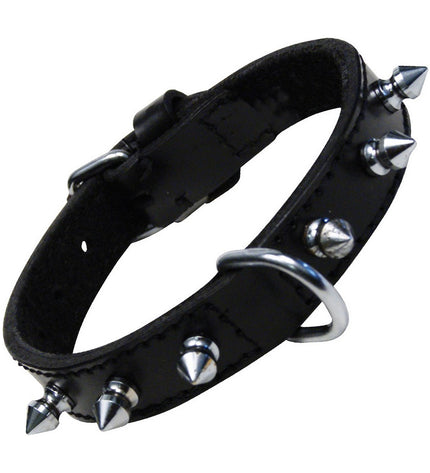 Black Gloria dog collar for small dogs, 30 cm, made of durable material, with adjustable fit and stylish design.