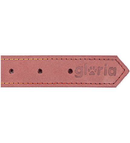 Pink Gloria Oasis dog collar with adjustable 60cm length and decorative design, suitable for medium-sized dogs.