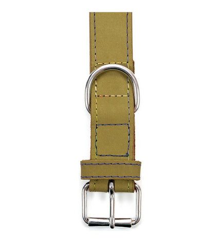 Green Gloria Oasis dog collar with adjustable 60 x 3 cm size, featuring a comfortable and stylish design for pets.