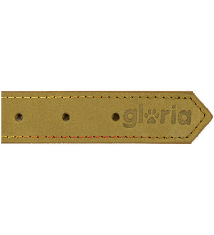 Green Gloria Oasis dog collar with 65 cm length and 3 cm width, displayed on a white background.