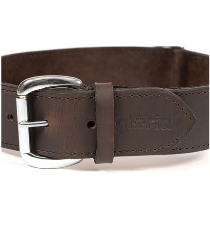 Gloria hondenhalsband in bruin, 70 cm lang, padded for comfort, with metal buckle and D-ring for leash attachment.