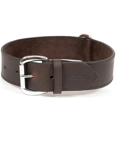 Brown Gloria dog collar, 80x4 cm, made of durable material, shown on a dog in a natural setting.